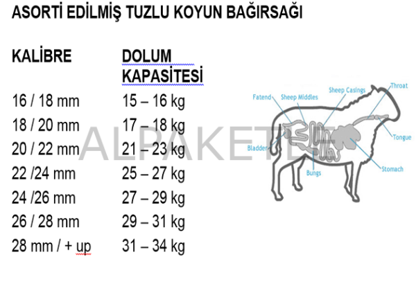 A KALİTE 22-24 MM KOYUN BAĞIRSAĞI (SALAMURA) 90 MT
